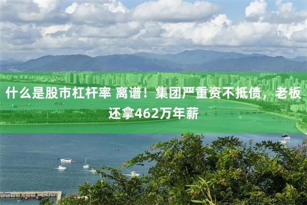 什么是股市杠杆率 离谱！集团严重资不抵债，老板还拿462万年薪