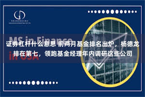 证券杠杆什么意思 前两月基金排名出炉，杨德龙排在第七，领跑基金经理年内调研这些公司