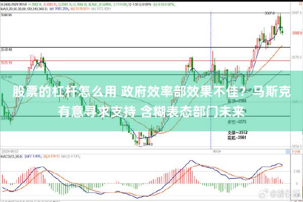 股票的杠杆怎么用 政府效率部效果不佳？马斯克有意寻求支持 含糊表态部门未来