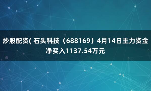 炒股配资( 石头科技（688169）4月14日主力资金净买入1137.54万元