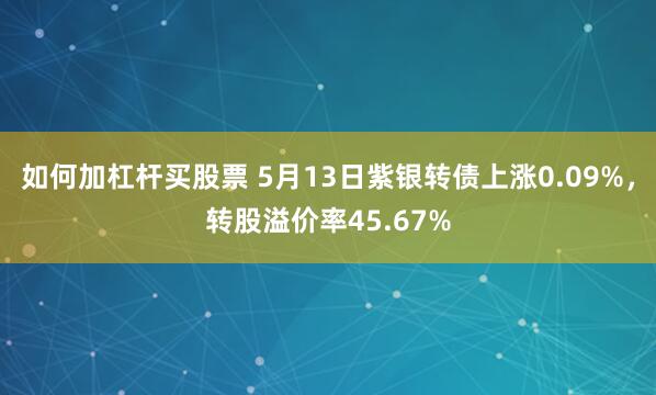 如何加杠杆买股票 5月13日紫银转债上涨0.09%，转股溢价率45.67%
