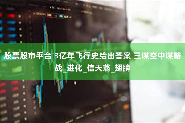 股票股市平台 3亿年飞行史给出答案 三谋空中谋略战_进化_信天翁_翅膀