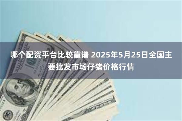 哪个配资平台比较靠谱 2025年5月25日全国主要批发市场仔猪价格行情