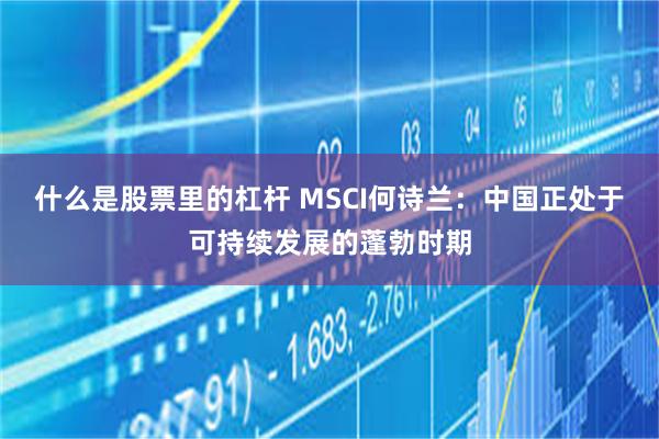 什么是股票里的杠杆 MSCI何诗兰：中国正处于可持续发展的蓬勃时期