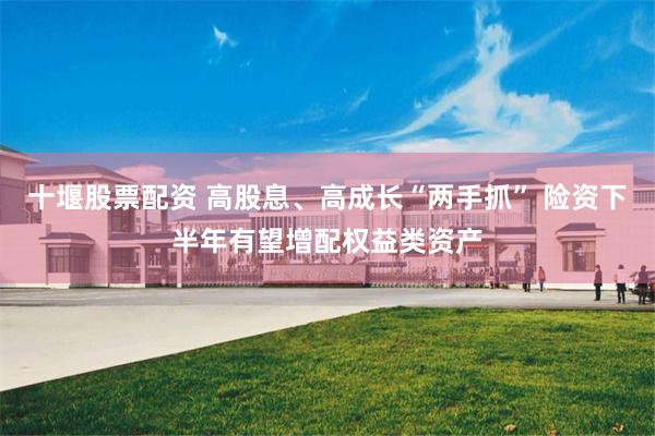 十堰股票配资 高股息、高成长“两手抓” 险资下半年有望增配权益类资产