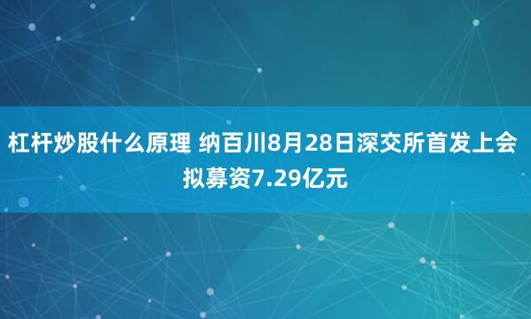 杠杆炒股什么原理 纳百川8月28日深交所首发上会 拟募资7.29亿元