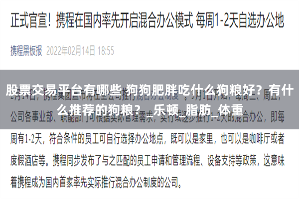 股票交易平台有哪些 狗狗肥胖吃什么狗粮好？有什么推荐的狗粮？_乐顿_脂肪_体重