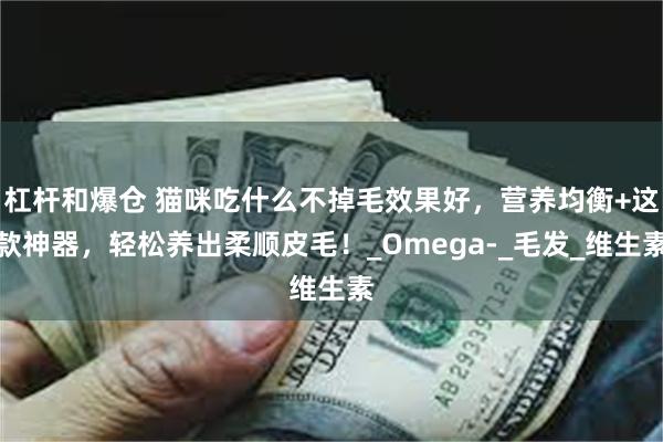 杠杆和爆仓 猫咪吃什么不掉毛效果好，营养均衡+这款神器，轻松养出柔顺皮毛！_Omega-_毛发_维生素