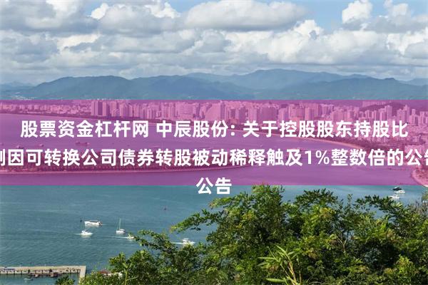 股票资金杠杆网 中辰股份: 关于控股股东持股比例因可转换公司债券转股被动稀释触及1%整数倍的公告