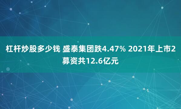 杠杆炒股多少钱 盛泰集团跌4.47% 2021年上市2募资共12.6亿元